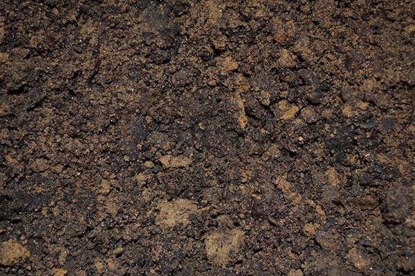 Почва в высоких грядках просела: причины, решение проблемы